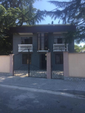 Guest House ARINA